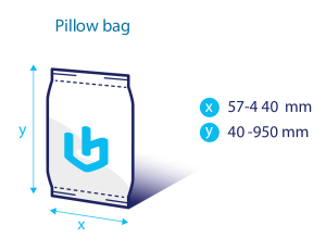 Pillow bag